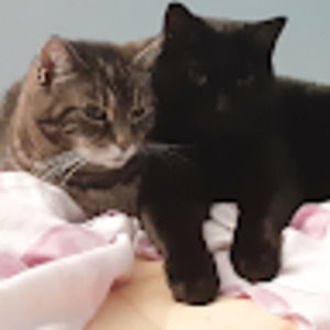 Meet your Posher, Traci